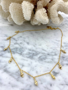 Sea Candy